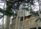 121 Forest Drive D photo 1 121 Forest Drive D photo 1