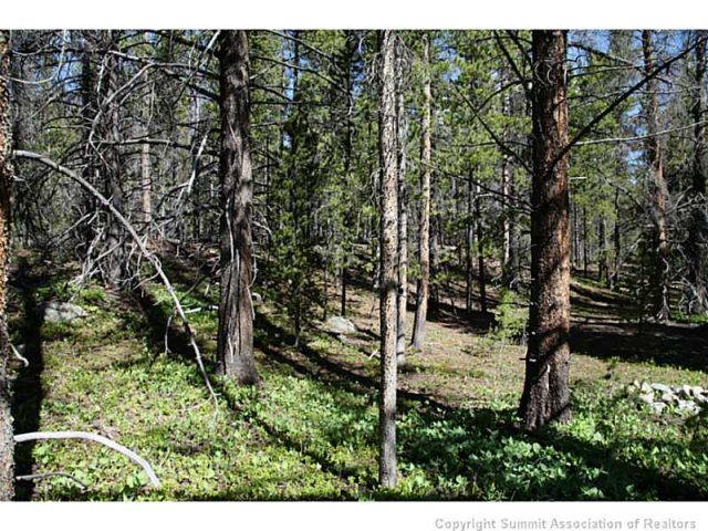 730 Gold King Way, Breckenridge, CO — main photo