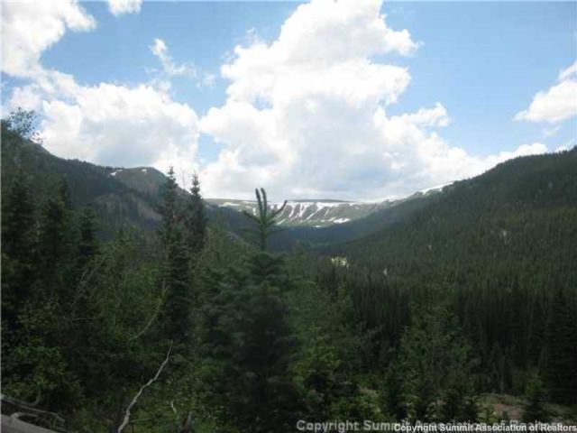 Land in Montezuma Heights Sub, Montezuma, CO — photo 1 (MLS S388614)