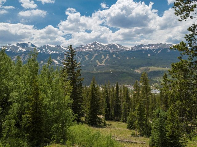 20 Bearing Tree Road, Breckenridge, CO — main photo
