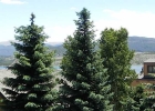 1650 Lakeview Terrace 205e photo 1 1650 Lakeview Terrace 205e photo 1