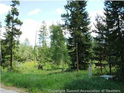 Land in Frisco Terrace Sub, Frisco, CO — photo 1 (MLS S388785)