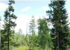212 Forest Drive photo 1