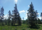 373 Sherwood Trail photo 1