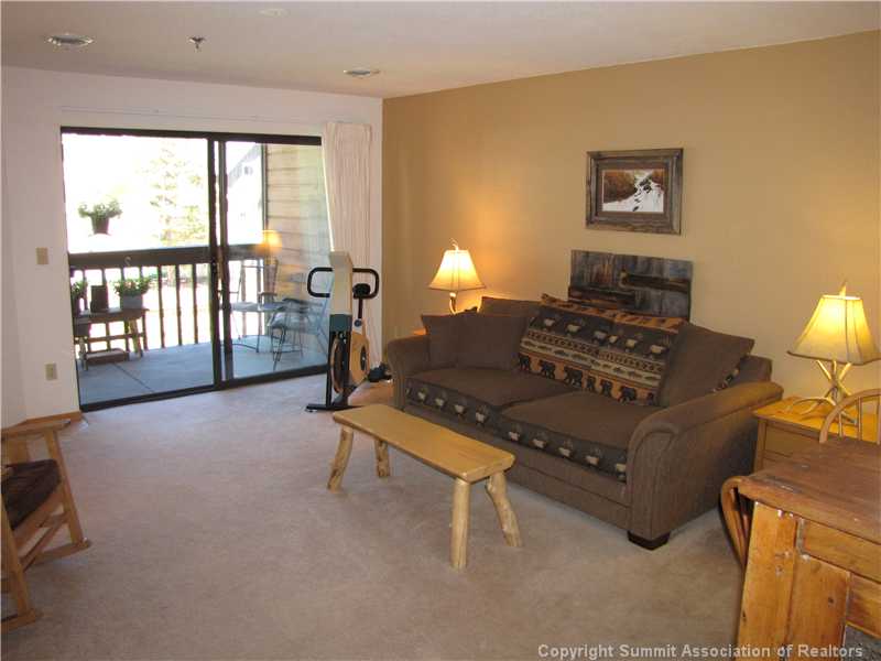 715 5th Avenue 160, Frisco, CO — main photo
