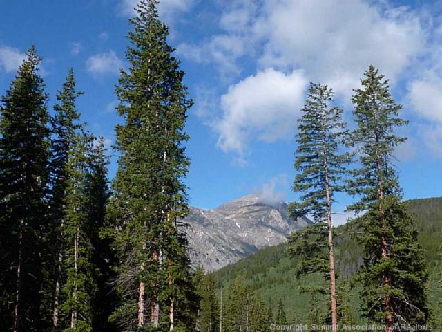 Land in Timber Creek Estates, Breckenridge, CO — photo 1 (MLS S389354)