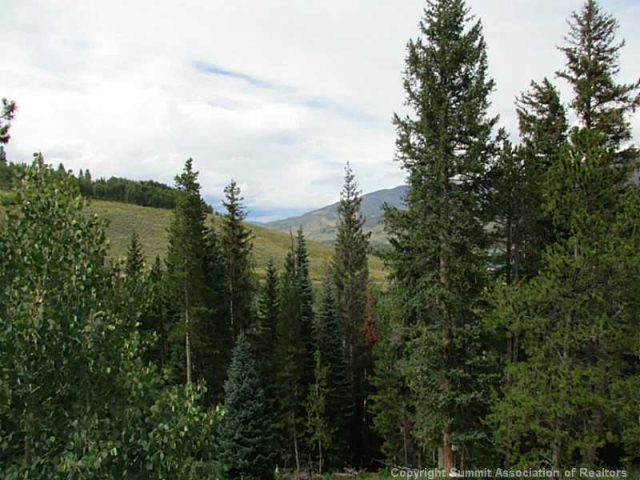 Land in Buffalo Valley At Wildernest, Wildernest, CO — photo 1 (MLS S389429)