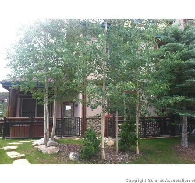 Townhome in Corral At Breckenridge, Breckenridge, CO — photo 1 (MLS S389499)