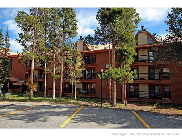 8900 Ryan Gulch Road 307, Wildernest, CO — main photo