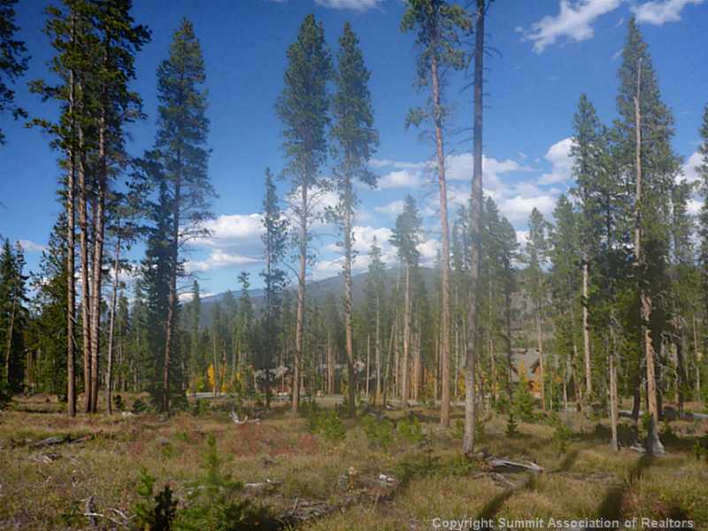 977 Preston Way, Breckenridge, CO — main photo