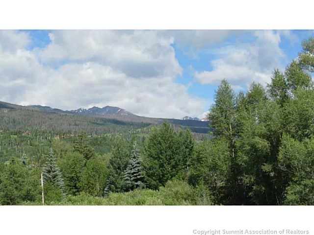 Land in South Forty Sub, Silverthorne, CO — photo 1 (MLS S389953)