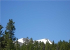 239 Snowflake Drive photo 1