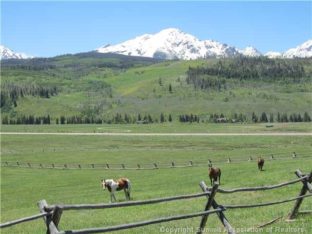 Land in Estes Sub, Silverthorne, CO — photo 1 (MLS S390372)