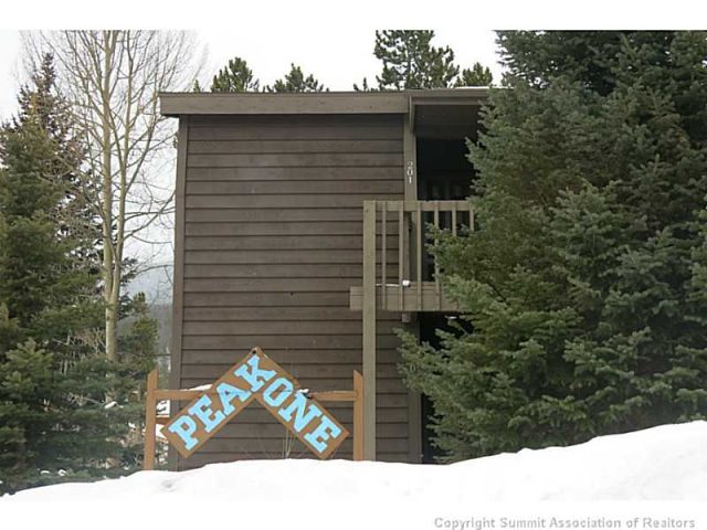 Condo in Peak One Condo, Frisco, CO — photo 1 (MLS S390549)
