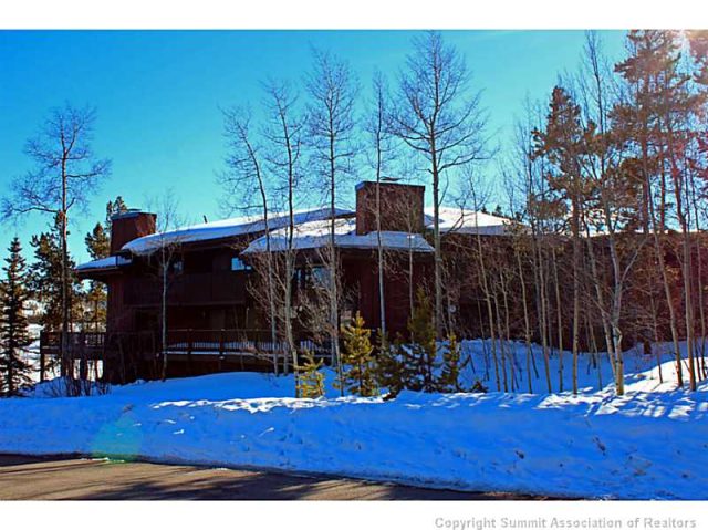 Townhome in Buffalo Mountain Townhomes, Silverthorne, CO — photo 1 (MLS S390583)