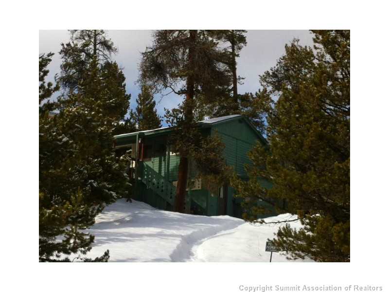 517 Pitkin Street, Frisco, CO — main photo