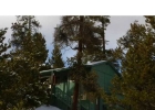 517 Pitkin Street photo 1