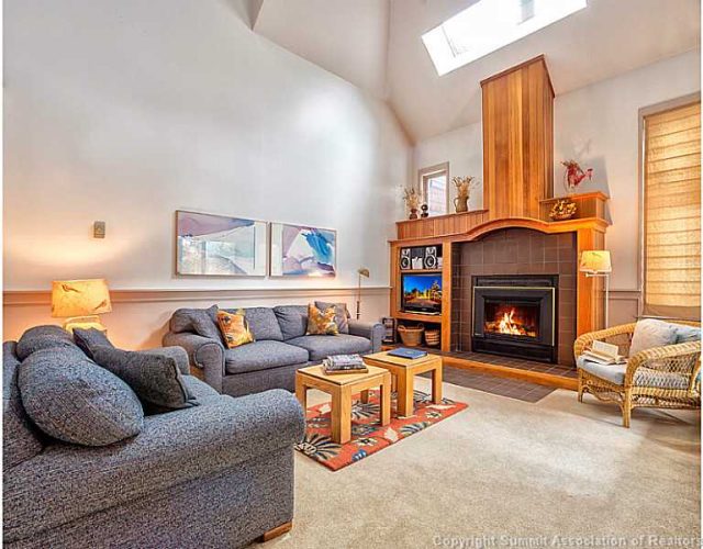352 Wild Irishman Road 1908, Keystone, CO — main photo
