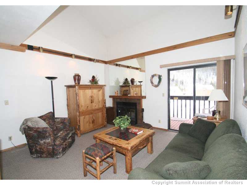 805 5th Avenue 352, Frisco, CO — main photo