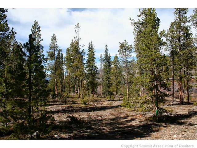 Land in Alders The, Keystone, CO — photo 1 (MLS S390830)