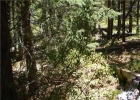 294 Regal Circle Circle photo 1