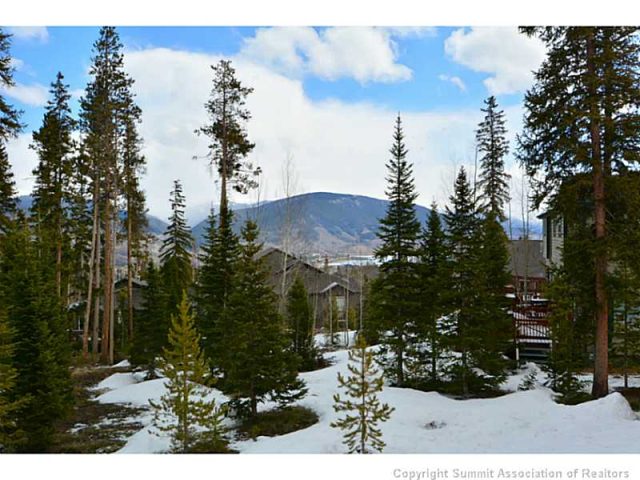 Duplex in Preserve At Wildernest, Silverthorne, CO — photo 1 (MLS S391383)