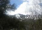 282 Robbers Nest Drive photo 1