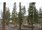 690 Highfield Trail photo 1