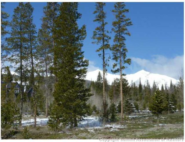 Land in Gold Hill Estates Sub, Breckenridge, CO — photo 1 (MLS S391629)