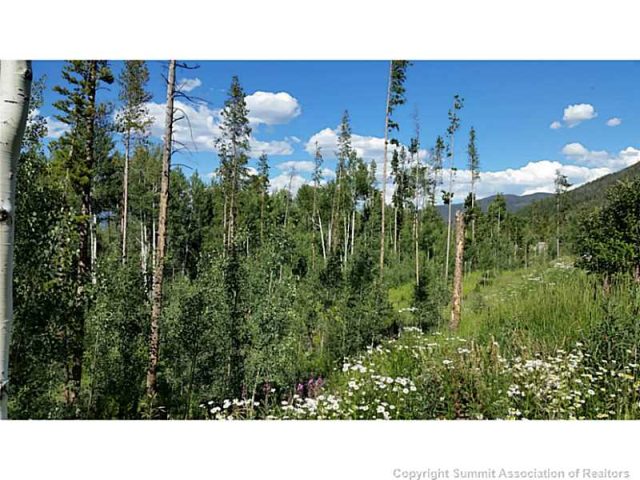 Land in Bills Ranch Sub, Frisco, CO — photo 1 (MLS S391677)