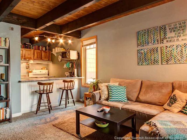 Condo in Mother Lode Condo, Breckenridge, CO — photo 1 (MLS S392043)
