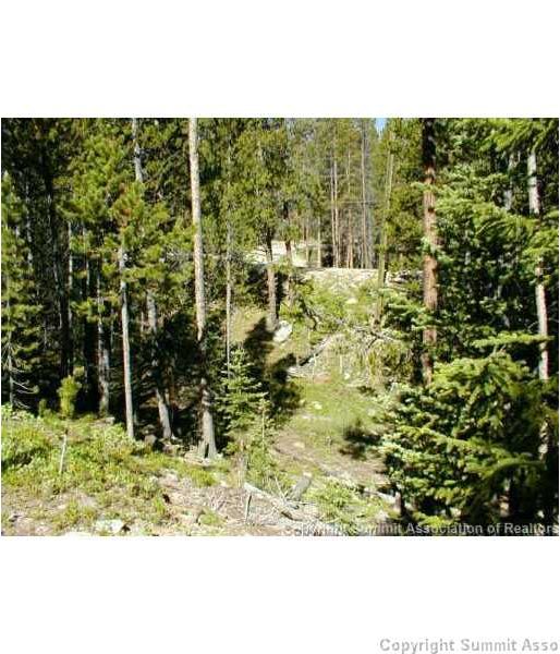 Land in Louise Placer Sub, Breckenridge, CO — photo 1 (MLS S392172)
