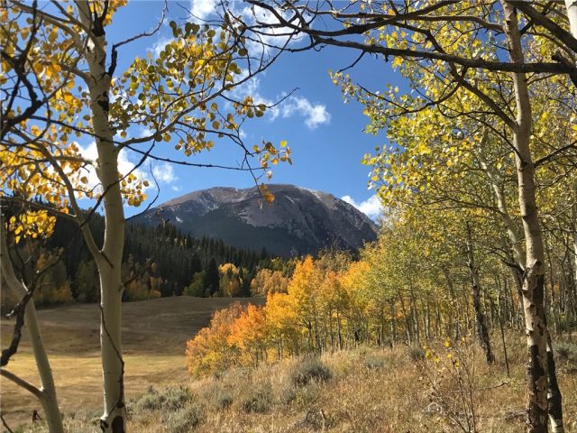 Land in Ruby Ranch Sub, Silverthorne, CO — photo 1 (MLS S392343)
