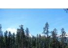 77 Stillson Placer Terrace photo 1