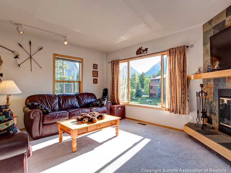 731 Lagoon Drive D, Frisco, CO — main photo