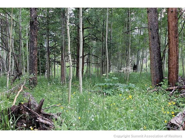 Land in Summit Guest Ranch Sub, Silverthorne, CO — photo 1 (MLS S392819)