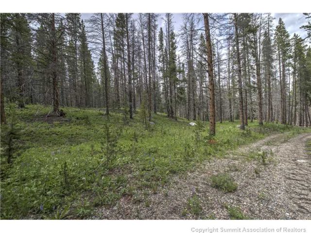 Land in Gold King Placer Unsub, Breckenridge, CO — photo 1 (MLS S392903)