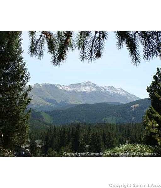 Land in Warriors Preserve Sub, Breckenridge, CO — photo 1 (MLS S392967)