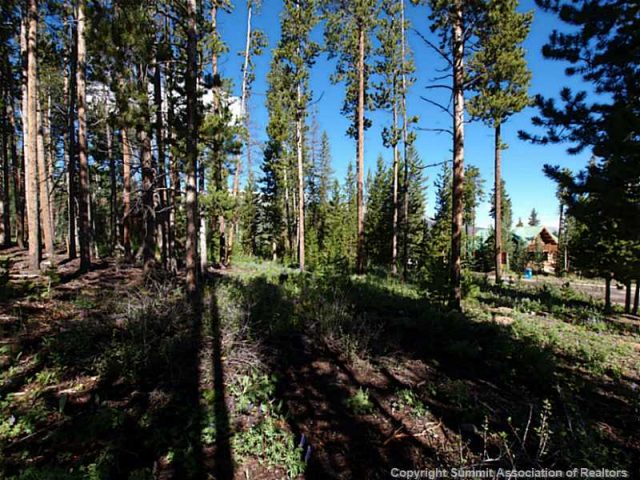 Land in Blue Ridge Amended Sub, Breckenridge, CO — photo 1 (MLS S392982)