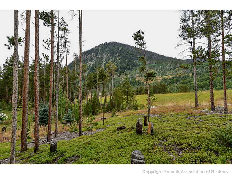 139 Lupine Lane, Frisco, CO — main photo