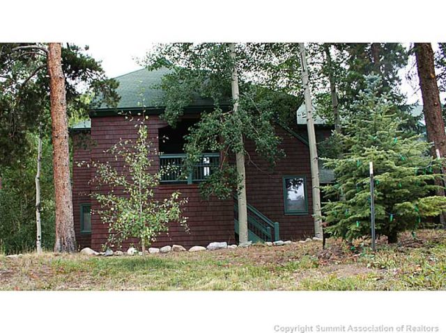 402 Wild Irishman Road 1919, Keystone, CO — main photo