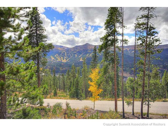 Land in Metes And Bounds - Breck, Breckenridge, CO — photo 1 (MLS S393468)