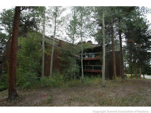 393 Wild Irishman Road 1066, Keystone, CO — main photo