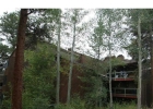 393 Wild Irishman Road 1066 photo 1