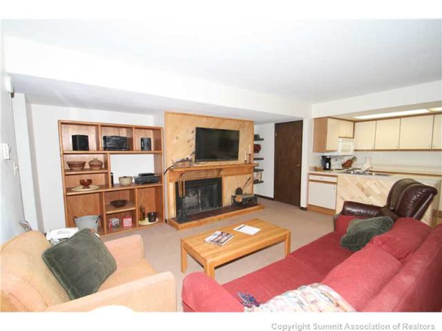 393 Wild Irishman Road 1057, Keystone, CO — main photo