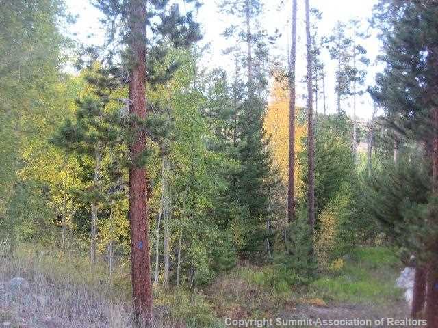 360 Black Hawk Circle, Silverthorne, CO — main photo
