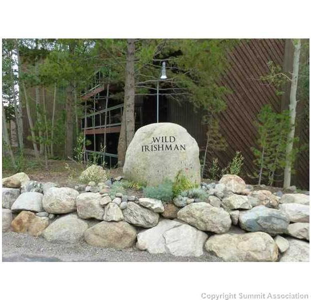 423 Wild Irishman Road 1014, Dillon, CO — main photo