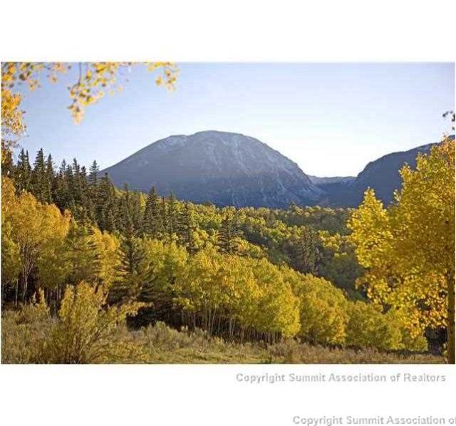 Townhome in Angler Mountain Ranch Sub, Silverthorne, CO — photo 1 (MLS S394150)