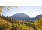 318 Fly Line Drive 49 C photo 1