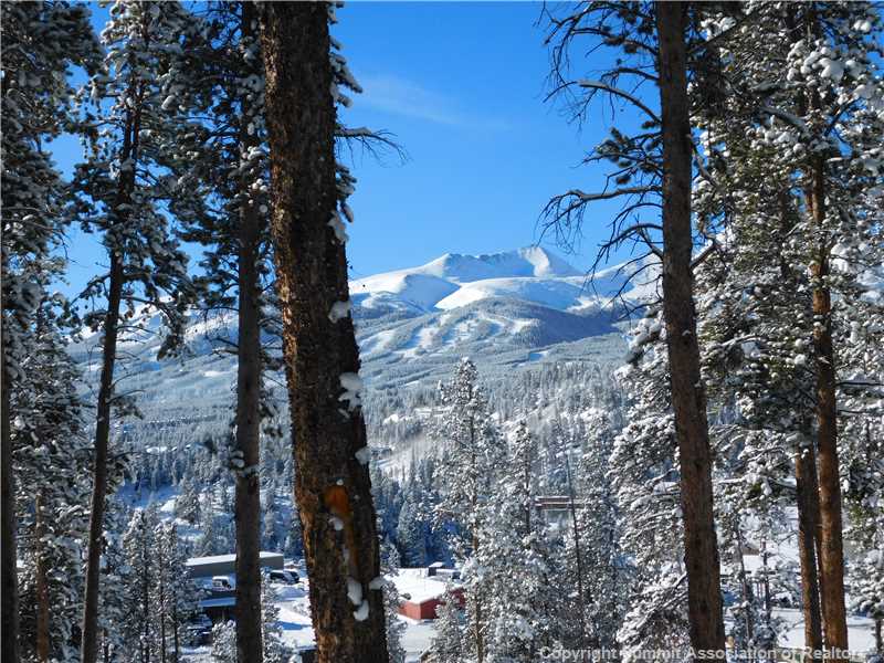 83 Forest Circle, Breckenridge, CO — main photo